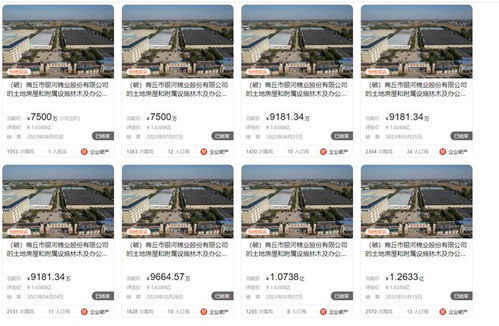 商丘市银河棉业破产,大型厂房第八次拍卖,7500万就成交了