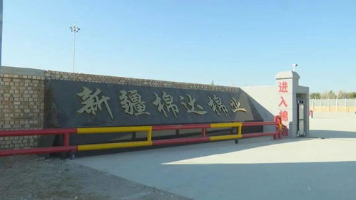 八十三团棉达棉花加工厂投入试运行，银河棉业助力区域棉花产业升级