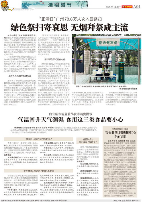 清明祭祖与银河棉业 传统节日中的文化传承与产业振兴