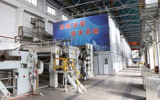 热点 打好 亏损治理和提质增效 攻坚战 银河纸业杨木浆二期项目顺利开机投产