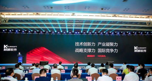 从零到世界瞩目 银河棉业如何织就中国纺织传奇