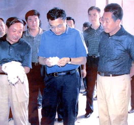 河南商丘银河棉业集团 从棉到菇的华丽转身，多元经营大发“蘑菇财”